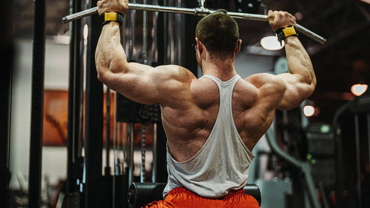 2-3x Training Sessions vs. 4-6x Training Sessions. Which is Better?
