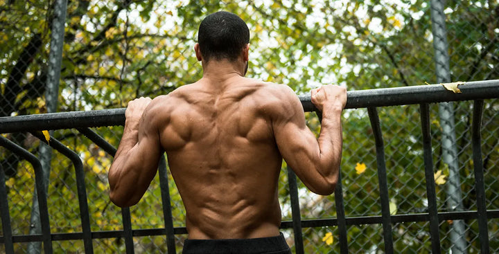 Training with Your Bodyweight